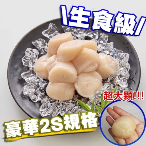 北海道生食級2S干貝10顆入 300g